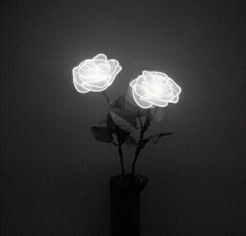 michelle1_bts's tweet photo. Past the end of this cold winter
Until the spring comes again
Until the flowers bloom again
Stay there a little longer

#ARMYSelcaDay https://t.co/66W5csyXzP