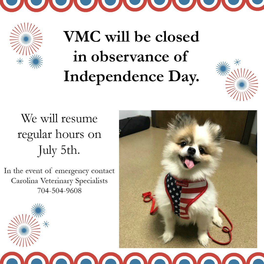vmcfortmill's tweet photo. Happy 4th of July! https://t.co/FWUD4wUrjs