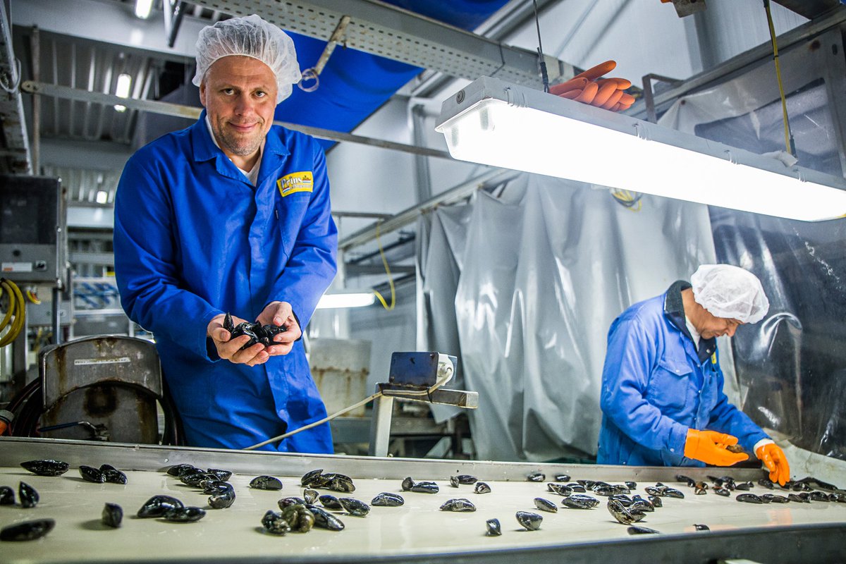 Schelpdierenbedrijf <a href="/PrinsDingemanse/">Prins & Dingemanse</a> in Yerseke blijft innoveren
bit.ly/2ulzwh0
#mosselen #schelpdieren #innovatie #oesters