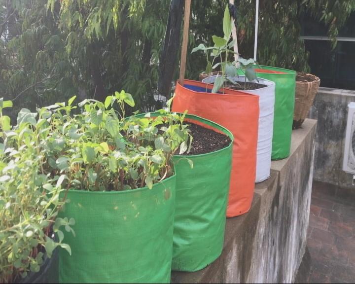 #Chennai residents turn farmers! find out more at 7&amp;11 PM @NDTVPrime