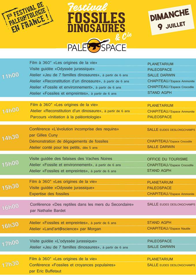 reseaudesmusees's tweet photo. 🗓️| FESTIVAL PALÉONTOLOGIQUE | Le 8 et 9 juillet le Paléospace (14) vous convie à la 1ère édition du festival "Fossiles, Dinosaures et Cie" https://t.co/jhdhaUxJss