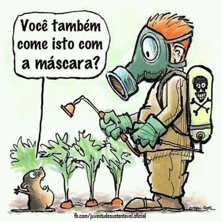 e_o_brejo's tweet photo. ♻🌲🌳 #éobrejo #meioambiente #sustentabilidade #conscienciaambiental #educacaoambiental #nature #natureza #savetheea… https://t.co/o9kBNKl9vU https://t.co/2gHxVuQruY