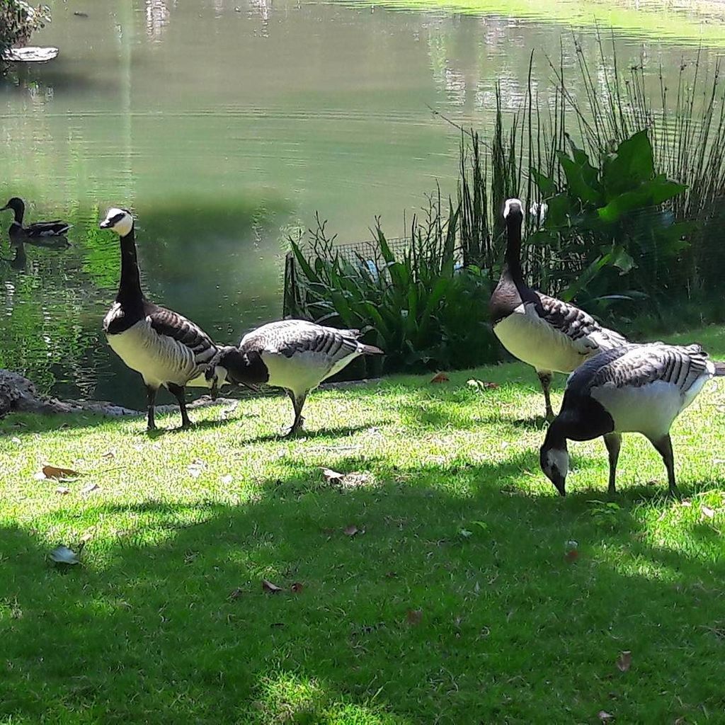 En chemin de mon travail à Naturalia Vegan rue de Rome... ça fait plaisir. #nature #squarebatignolles #square ift.tt/2tEEfg2