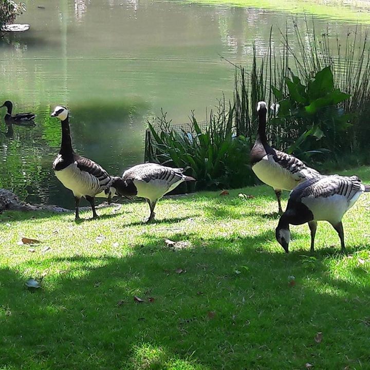 En chemin de mon travail à Naturalia Vegan rue de Rome... ça fait plaisir. #nature #squarebatignolles #square … ift.tt/2rcdjCD