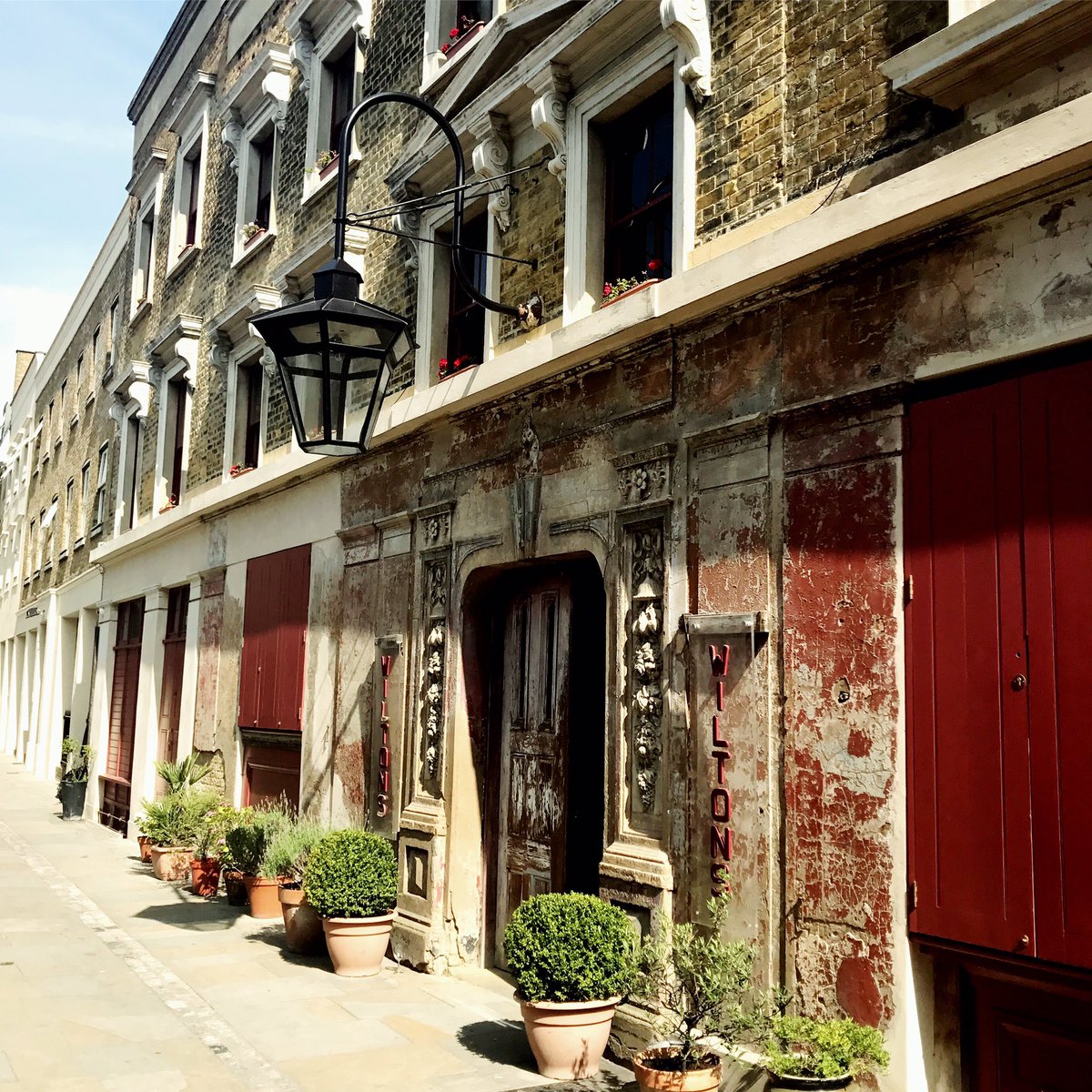 robsoar's tweet image. 🐺Location 🎬