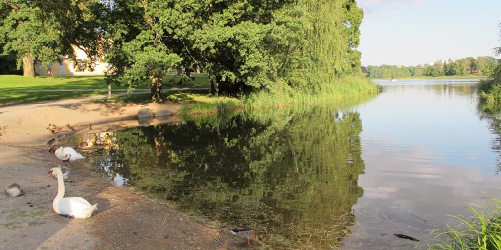 pretourguide's tweet photo. #Haga in #Solna #Municipality just north #Stockholm #Sweden is a #vast and #popular #nature_area with #large_parks #lakes and #gardens 🌳❤️🇸🇪 https://t.co/9PBGCgXZqc