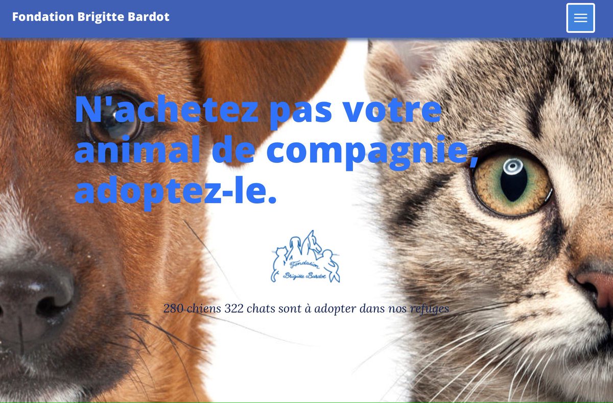 Et si l'été devenait la saison des adoptions... A la FBB, plus de 600 rescapés attendent un nouveau foyer ! adoption.fondationbrigittebardot.fr