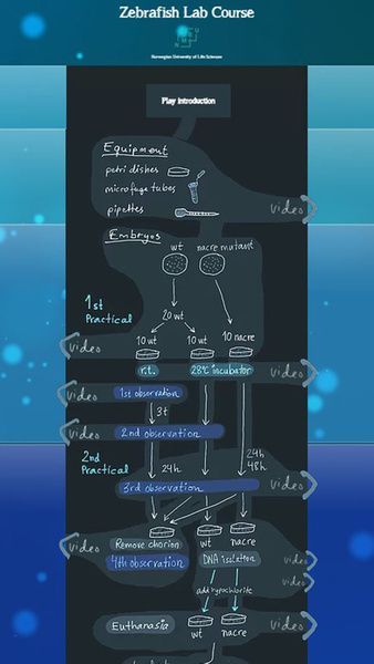 download fractal geometry complex dimensions and zeta functions geometry and spectra of fractal strings