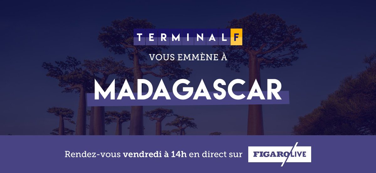 Terminal F tweet media