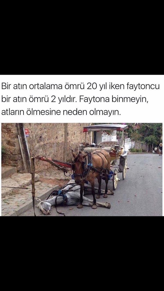 GoreleAtParti's tweet photo. İşci sınıfı atlarımız var... Bırakın yaşasınlar🐴 https://t.co/KaSqorG00R