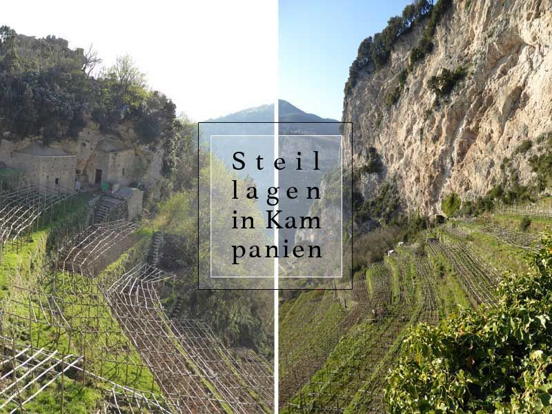 Zauberhafte Weine sind die Stärke der Hexen aus Kampanien … (mit Verkostungsnotizen von 17 Weinen) – goo.gl/8oCnxj