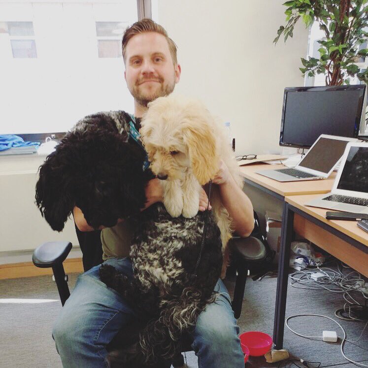 PerkboxDexter's tweet image. Today  @perkbox HQ we&apos;re practising our juggling skills  #dogs #officedogs #dogsoftwitter #EmployeeEngagement #juggling