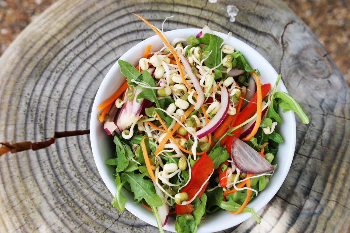 CowdrayExpress's tweet photo. Everyday at #cowdrayexpress we have a #fresh #salad made for you to takeaway & enjoy #vegan #health https://t.co/UC3TPSr04u https://t.co/E8fNX64TRn
