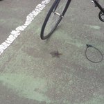 どうぶつの森を知っている人ならわかっちゃうwはにわか化石が埋まってる!w