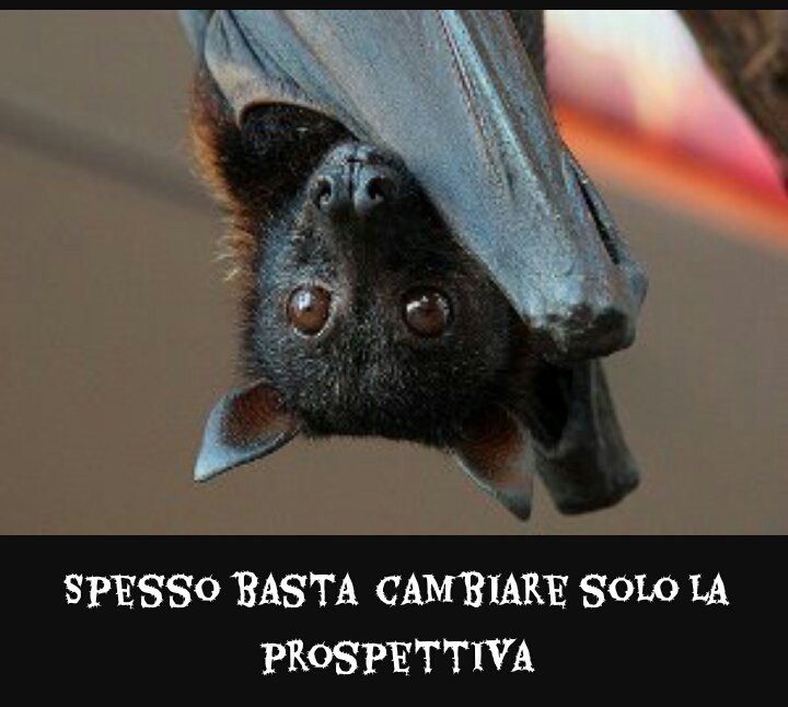 38Micia's tweet photo. #traGliSpazi della frenesia di ogni giorno cerco la vera me, per non perdermi.
@EmergScrittura  @VentagliP @StefanoRocca9  @Stefano32847521 https://t.co/0jCqBMu88F