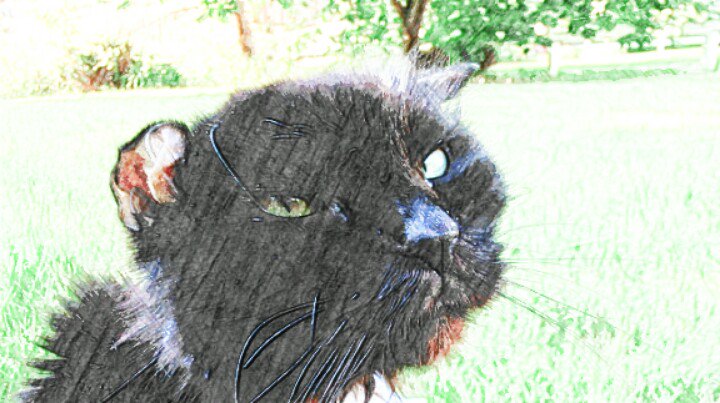 SaveBitters's tweet image. Share the love @MozziesBiteMe @healingpurrs, you're top engaged community members this week &amp;gt;&amp;gt; Want this 🆓? commun.it/?aid=thankyou1…