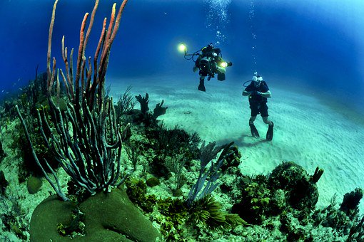 Moebius_Darwin's tweet photo. #Citizenscience in #vacanza #Dueproject ci invita a diventare #sentinelle del #mare #Mediterraneo #snorkeling #sub
🏊https://t.co/BkYbvyOhay https://t.co/BqZ7zsKIj6