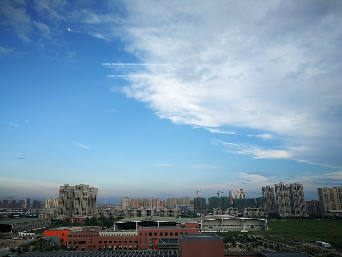 windsonic tweet picture