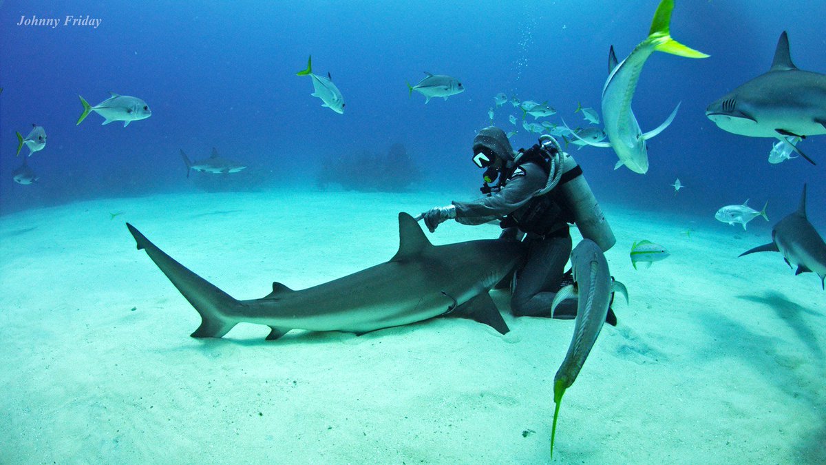 CristinaZenato's tweet photo. I don't want to protect the environment. I want to create a world where the environment doesn't need protection
#exploration #education https://t.co/yVGKWgYkAT