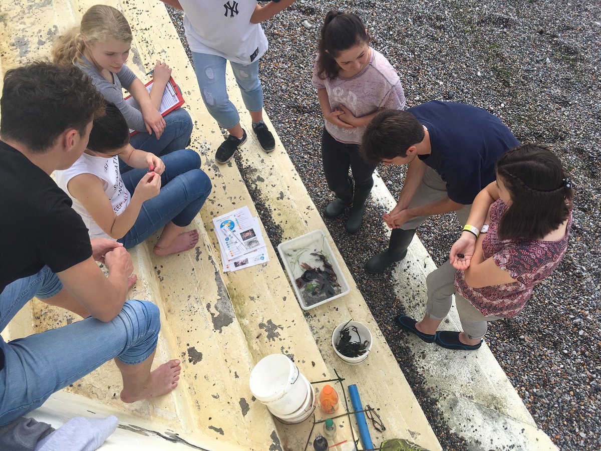 Work experience students leaning about crabs with #crabwatch <a href="/SeaChange_EU/">Sea Change Project</a> <a href="/thembauk/">MBA - Marine Biological Association</a>