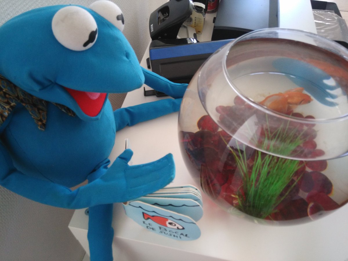 Morty à adopté Sushi notre poisson et lui raconte même une histoire ;-) #MortyChezNous <a href="/morty_alentoor/">Morty</a>