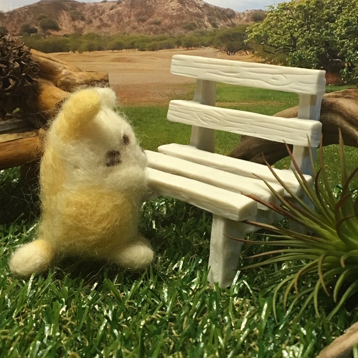 先日のペンギンに続いて、2回目の羊毛フェルト挑戦。
かなり難しいですね〜(^_^*)

 #すみっコぐらし羊毛フェルト