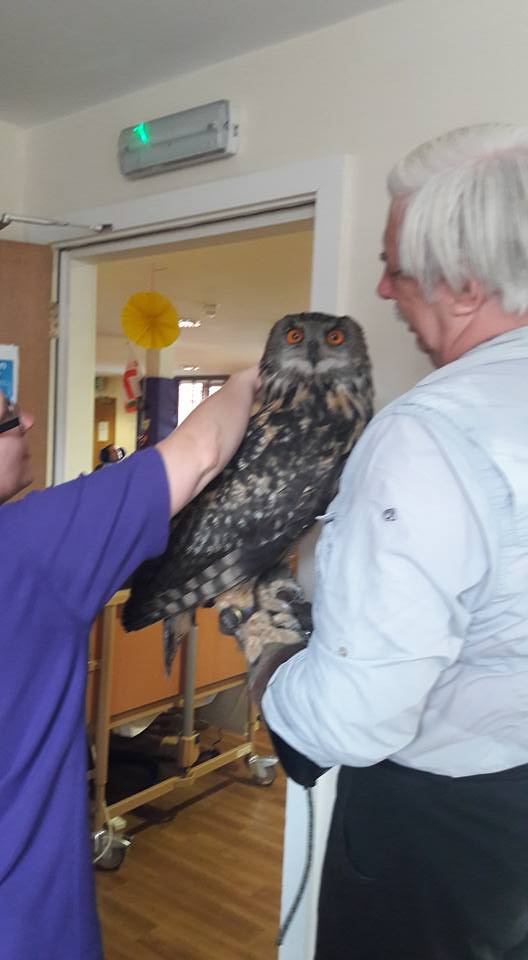 3LCare's tweet image. Thank you @LowerMoss Animal Hospitalfor bringing your beautiful birds in to see us today #livelovelaugh #owls #nature #wildlife