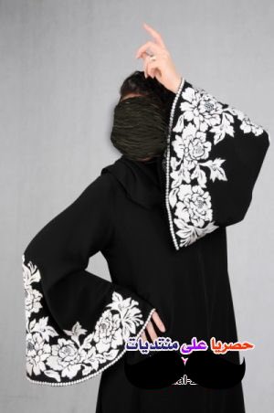 عرض الصورة على تويتر