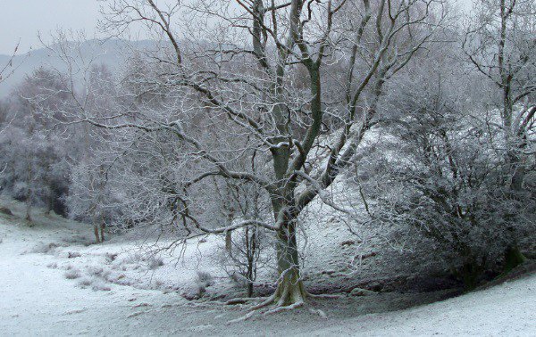 kettlelintime tweet media