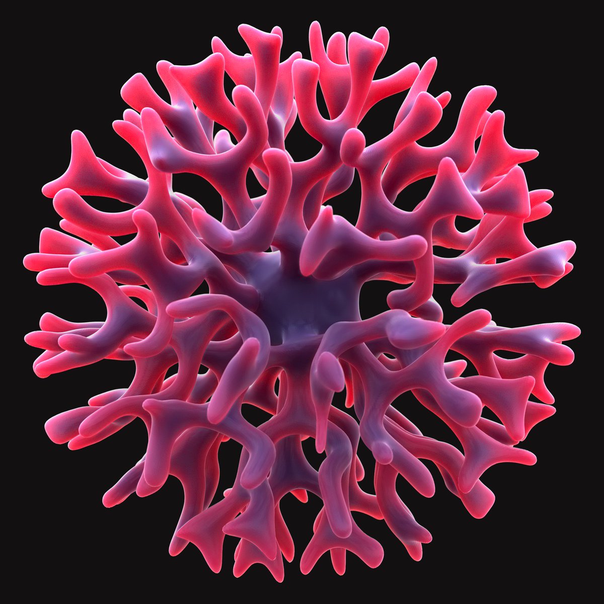 Cornus Ammonis tweet media