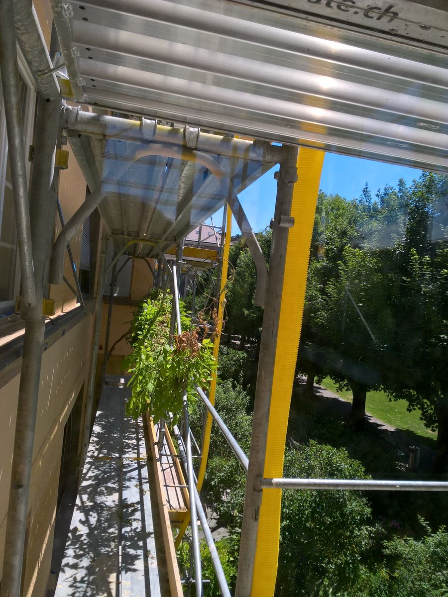 vialoco's tweet image. 