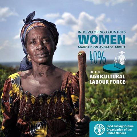 Rural #women: a driving force against hunger, malnutrition and poverty. #zerohunger