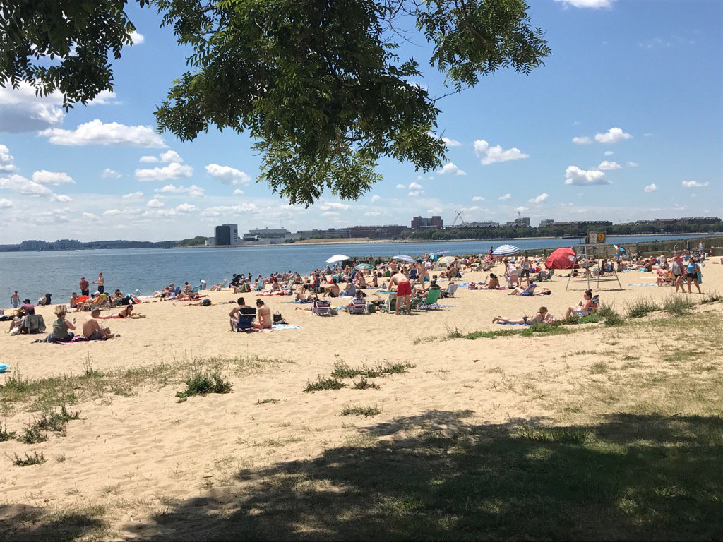 RosemaryJPowers's tweet photo. Great to see the crowded South Boston beaches today! #backtothebeaches #massdcr @savetheharbor #cleanupbostonharbor https://t.co/3feH8I7WiW