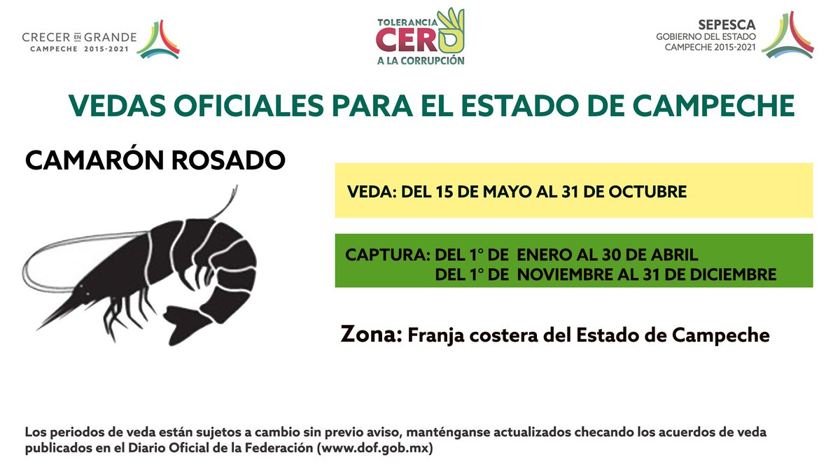 Recuerda que estamos en época de veda de camarón, respétala para garantizar la reproducción y preservación de esta especie
#CrecerEnGrande
