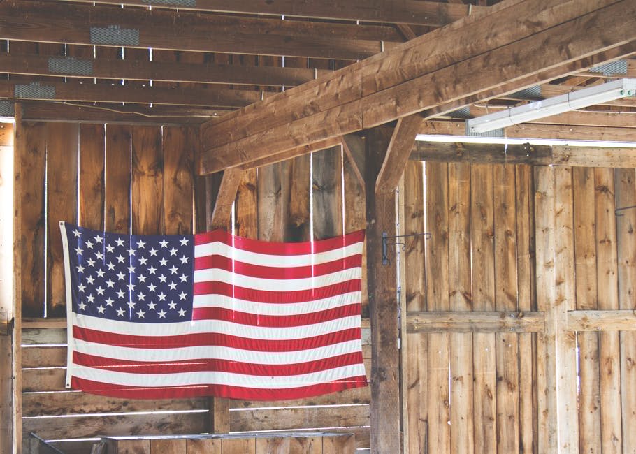 miniOrganics's tweet photo. Happy 4th of July to all of our American friends &amp; customers! xx https://t.co/N49Evq3WcE