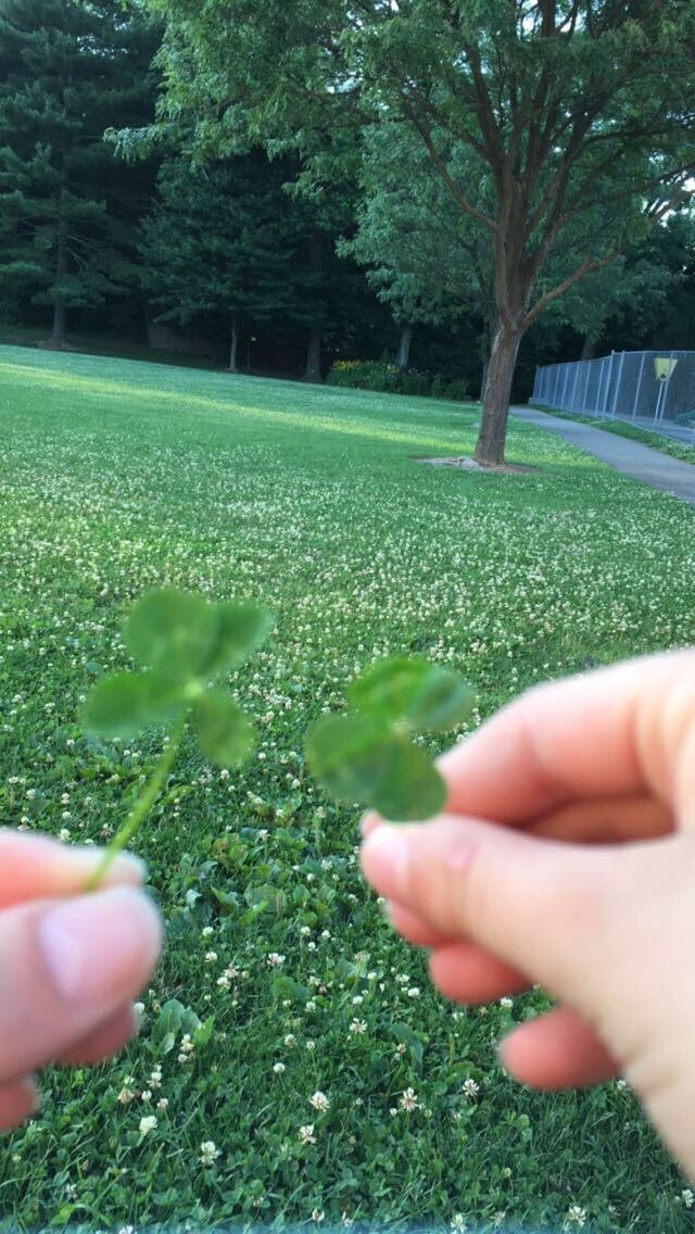 JaimeLyn7's tweet photo. #luckygirl #fourleafclover #Happiness #blessed #lucky #4thofJuly #HappyBirthdayAmerica #Travel #lookbeforeyouleave # https://t.co/INB2shobd0