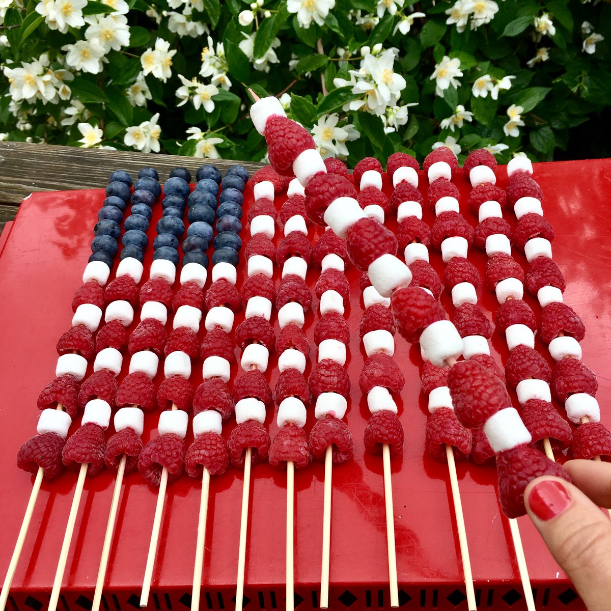 PersonalPlanner's tweet image. Happy Fourth of July! For our BBQ, we have a meat-free thing going on this year! 😜 🍡🍡 How are you celebrating today? 🎇