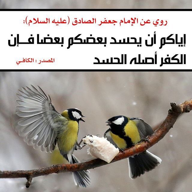 حسيني الهوى (@4shia_) on Twitter photo عن الإمام الصادق ( ع ) أنهُ قَالَ :
إياكم أن يحسد بعضكم بعضا، فإن الكفر أصله الحسد
#الكافي📚
<a href="/4ShiaRT/">RT الشيعة</a>
<a href="/4Shia/">ريتويت4⃣شيعة</a>
<a href="/rtshia/">صلوات</a>
<a href="/w__es/">αℓ τнαнαвi🩵 </a>
<a href="/E_m_ad/">عـمـاد العجيلـي</a>
@Iam_fadk عن الإمام الصادق ( ع ) أنهُ قَالَ :
إياكم أن يحسد بعضكم بعضا، فإن الكفر أصله الحسد
#الكافي📚
<a href="/4ShiaRT/">RT الشيعة</a>
<a href="/4Shia/">ريتويت4⃣شيعة</a>
<a href="/rtshia/">صلوات</a>
<a href="/w__es/">αℓ τнαнαвi🩵 </a>
<a href="/E_m_ad/">عـمـاد العجيلـي</a>
@Iam_fadk