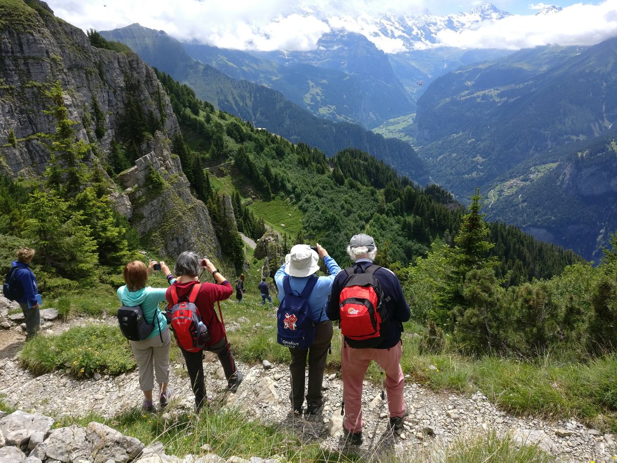 60rl's tweet image. A gentle amble on an RHS/Brightwater holiday in Wengen. The view from Schynige Platte