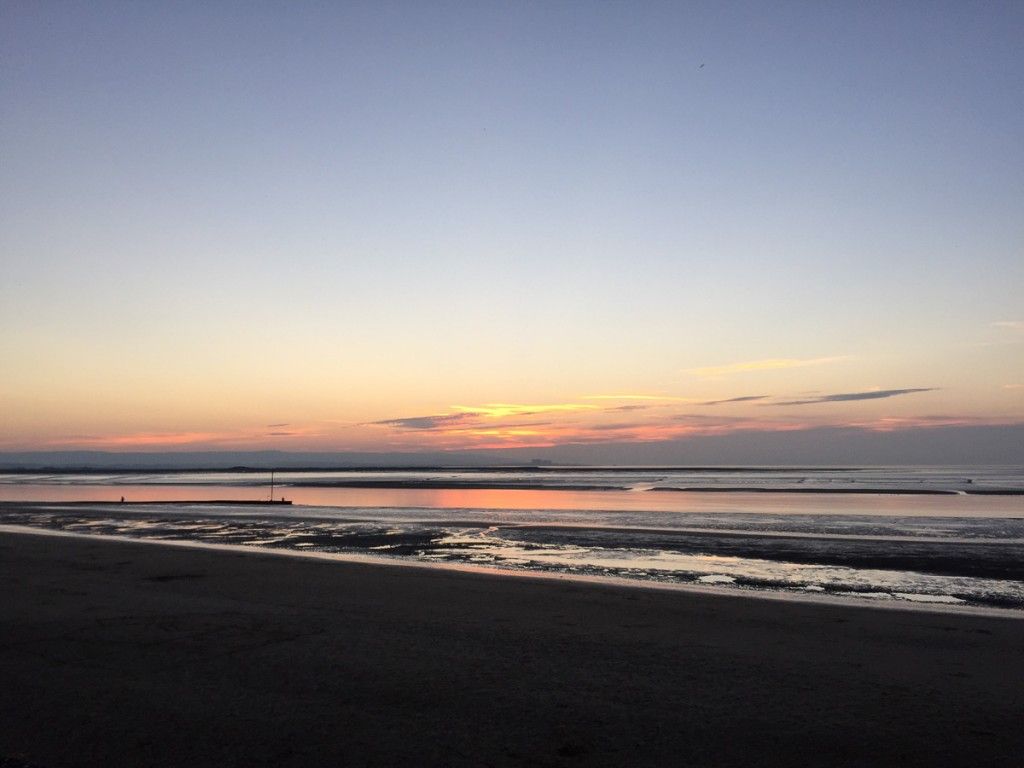 meanderingwild's tweet photo. A new Meandering Wild post: Is a phone enough of a camera? https://t.co/CEAiU1f2LS https://t.co/YRSq89qsJl