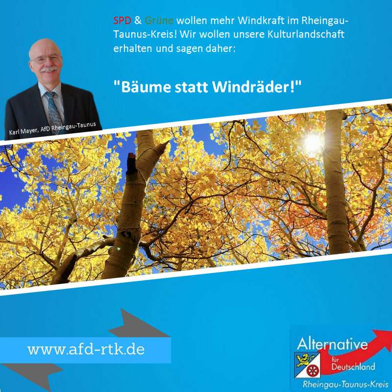 AfD Rheingau-Taunus (@afd_rtk) on Twitter photo 