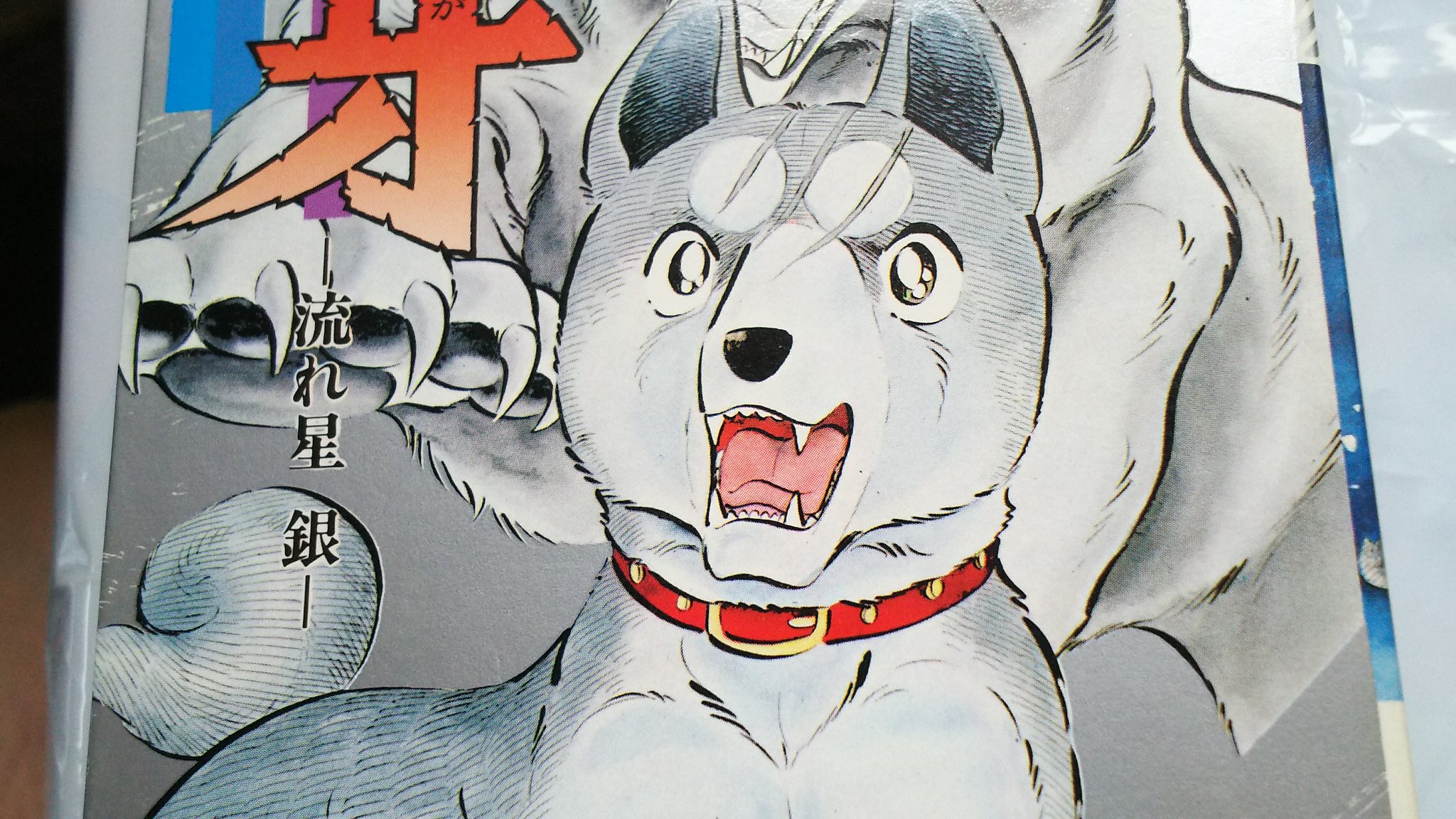 中原伸明 銀牙 銀は虎毛の犬です 高橋よしひろ先生も最初は 虎毛の格好いい銀 を書く構想していましたが いつしか みんなが書きやすい虎毛の銀が完成して 現在も続いています もしも先生が 格好いい虎毛の銀を書き続けていたら どうなっていたんだ 中原伸明 銀牙 銀は虎毛の犬です 高橋よしひろ先生も最初は 虎毛の格好いい銀 を書く構想していましたが いつしか みんなが書きやすい虎毛の銀が完成して 現在も続いています もしも先生が 格好いい虎毛の銀を書き続けていたら どうなっていたんだ