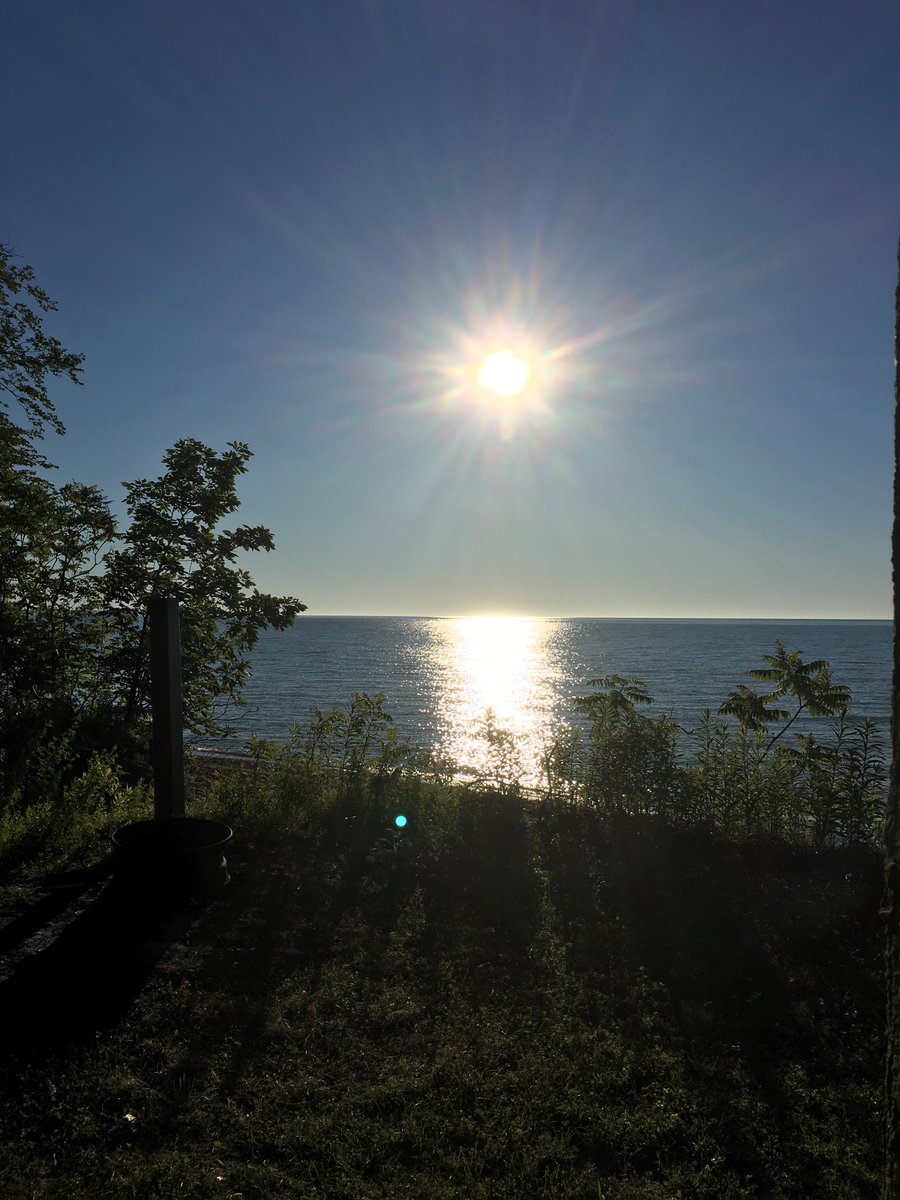 casingqueen's tweet image. Good Morning! #wheatleyprovincial #sunnyday #picoftheday