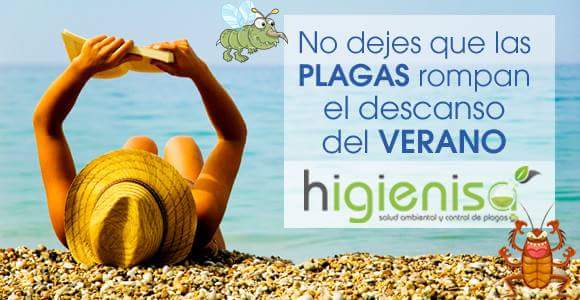 Higienisa's tweet photo. No dejes que las plagas 🐜🐁 te fastidien el verano 🌞
Mientras descansas, ellas invaden tu hogar.
 #Higienisa 📢 965 922 750 📢 https://t.co/ituwJA9zi9