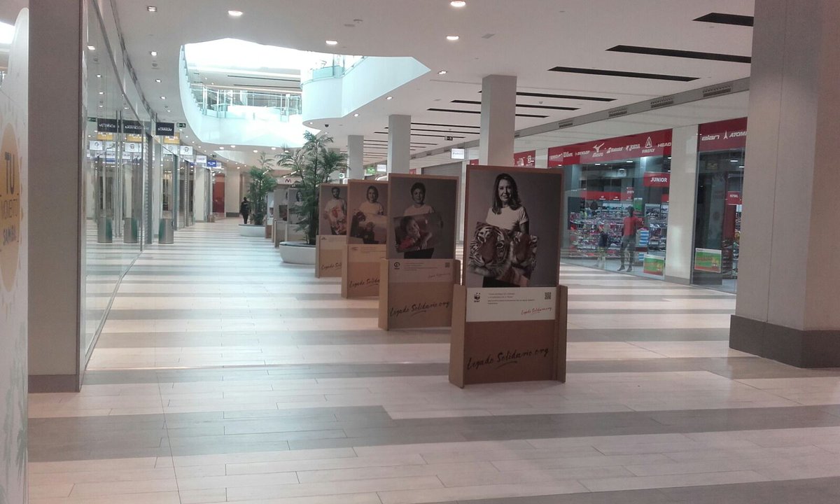 TestaSolidario's tweet photo. #legadosolidario @SambilOutlet conoce 23 deseos en 23 fotografías de cambiar el mundo en tu testamento. Infórmate en https://t.co/6rwkGfAkU3 https://t.co/Jab2LY9SGl