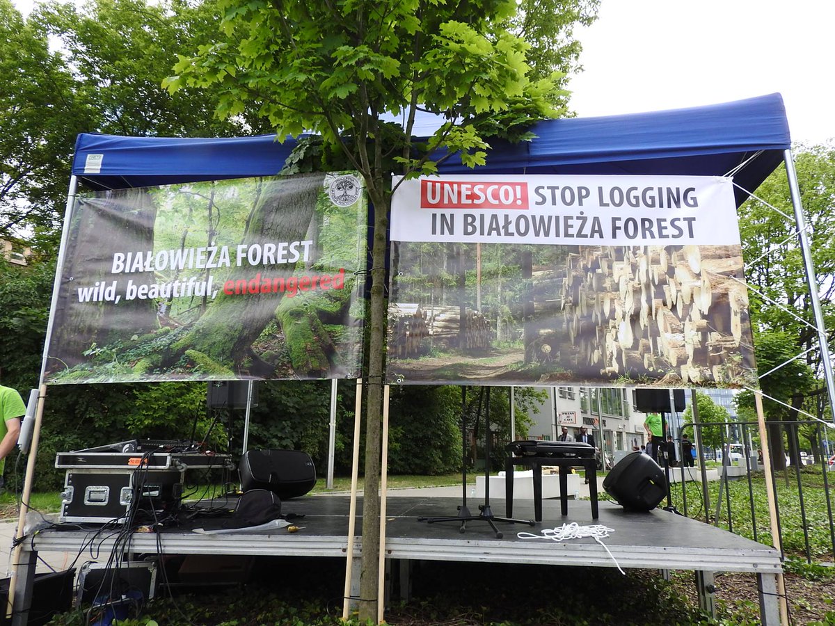 Greenpeace_PL's tweet photo. We're going to start a demo for saving #bialowieza forest from #logging. Cracow, #41whc #UNESCO #SaveOurHeritage #ForestInDanger https://t.co/3qjLthjt4U