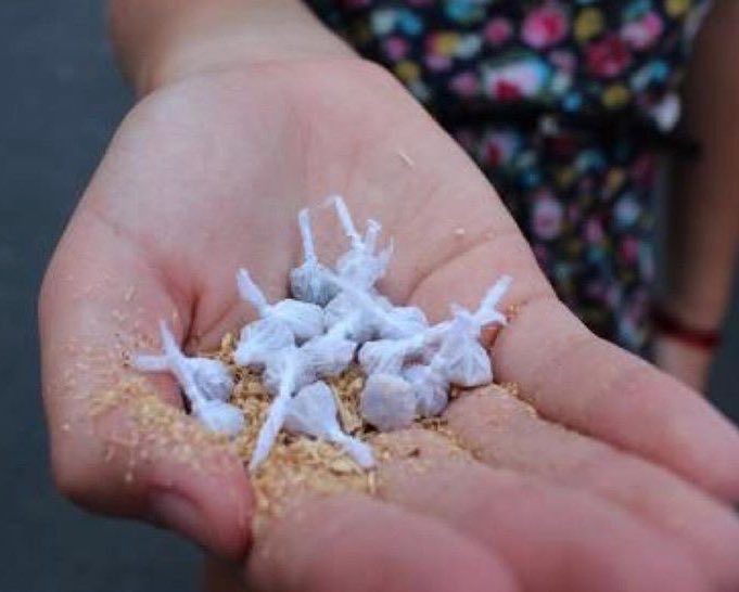 give me one reason not to clap my hands and end it all