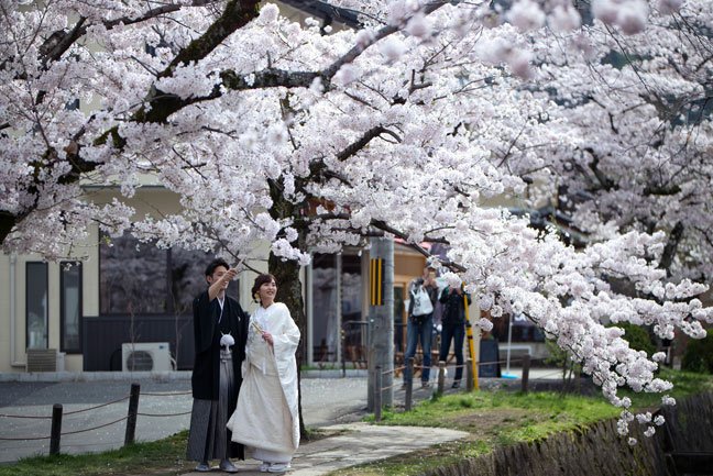 InsideJapan's tweet image. What's that? A cancellation on one of our #SpringElegance Tours?? Get in touch:
info@insidejapantours.com 
bit.ly/SPRELEG
#Spring