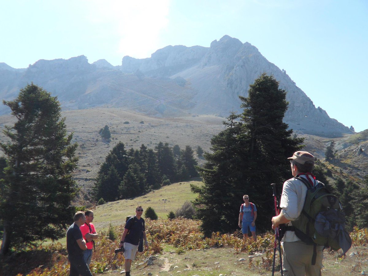 GreekResort1's tweet photo. #Trekking in #Dirfis
#Evia Island
https://t.co/albDKSsYjg https://t.co/vuCDqz49os