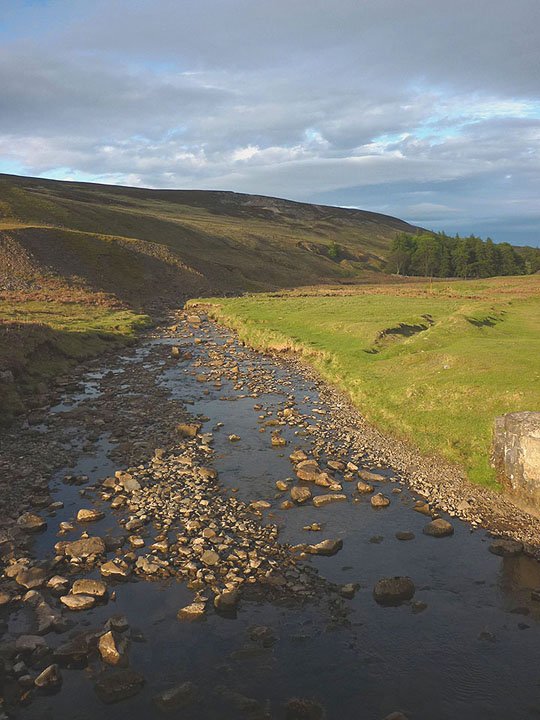 CurlewGuided's tweet photo. Bollihope Burn in the #northpennines @NorthPennAONB @weardalenet                     @DurhamDalesCent @GoWeardale @VisitWeardale https://t.co/AnvhCaNt2T